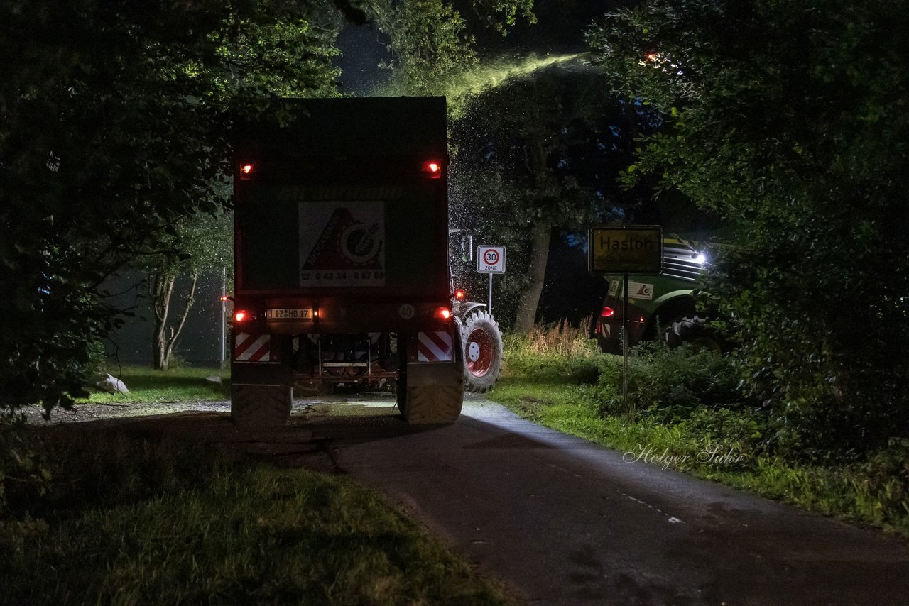 Bild 1 - Maisernte